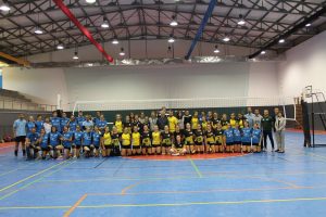 voleibol